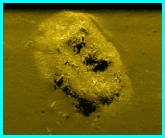 Side Scan Sonar Image of San Jose