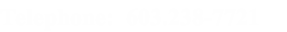 Telephone:  603.238-7721   
