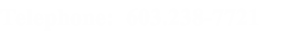 Telephone:  603.238-7721    
